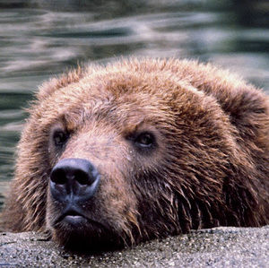 Meet your Posher, Ab